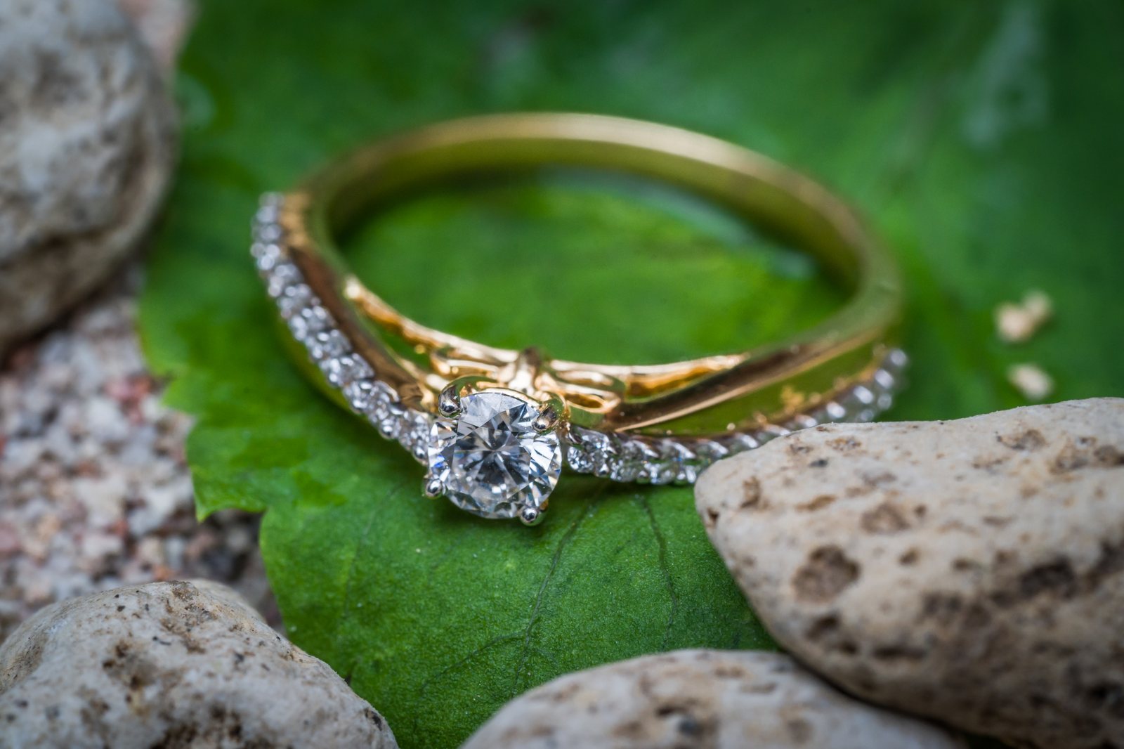 Luxury Jewelry & Product Photo 2
